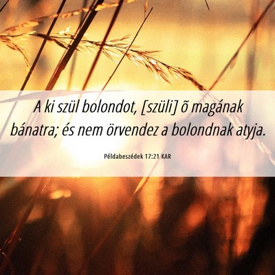 Picture 06 - Példabeszédek 17:21 KAR - A ki szül bolondot, [szüli] õ magának - Bible Verse Picture