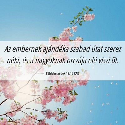 Picture 06 - Példabeszédek 18:16 KAR - Az embernek ajándéka szabad útat szerez néki, - Bible Verse Picture