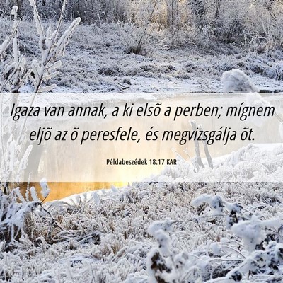 Picture 06 - Példabeszédek 18:17 KAR - Igaza van annak, a ki elsõ a perben; mígnem - Bible Verse Picture