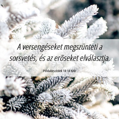 Picture 06 - Példabeszédek 18:18 KAR - A versengéseket megszünteti a sorsvetés, és - Bible Verse Picture