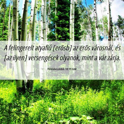 Picture 06 - Példabeszédek 18:19 KAR - A felingerelt atyafiú [erõsb] az erõs - Bible Verse Picture