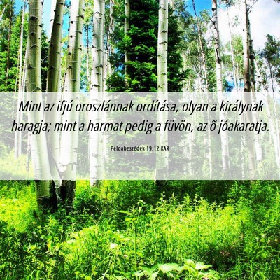 Picture 06 - Példabeszédek 19:12 KAR - Mint az ifjú oroszlánnak ordítása, olyan a - Bible Verse Picture
