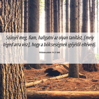 Picture 06 - Példabeszédek 19:27 KAR - Szünjél meg, fiam, hallgatni az olyan - Bible Verse Picture