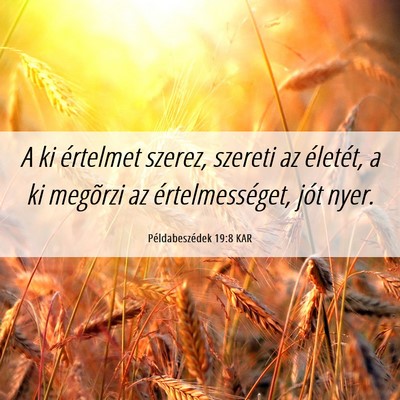 Picture 06 - Példabeszédek 19:8 KAR - A ki értelmet szerez, szereti az életét, a ki - Bible Verse Picture
