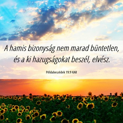Picture 06 - Példabeszédek 19:9 KAR - A hamis bizonyság nem marad büntetlen, és a ki - Bible Verse Picture