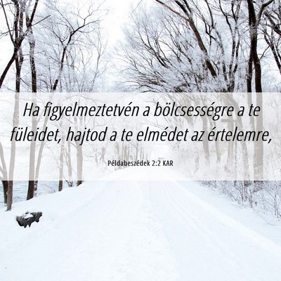 Picture 06 - Példabeszédek 2:2 KAR - Ha figyelmeztetvén a bölcsességre a te - Bible Verse Picture