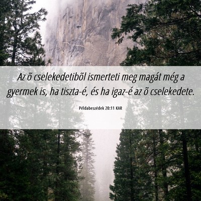Picture 06 - Példabeszédek 20:11 KAR - Az õ cselekedetibõl ismerteti meg magát még a - Bible Verse Picture