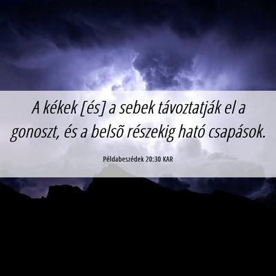 Picture 06 - Példabeszédek 20:30 KAR - A kékek [és] a sebek távoztatják el a - Bible Verse Picture