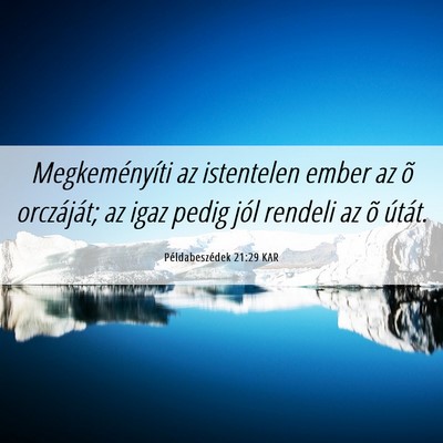 Picture 06 - Példabeszédek 21:29 KAR - Megkeményíti az istentelen ember az õ - Bible Verse Picture