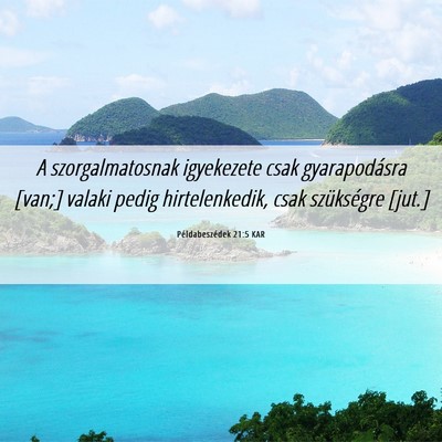 Picture 06 - Példabeszédek 21:5 KAR - A szorgalmatosnak igyekezete csak gyarapodásra - Bible Verse Picture