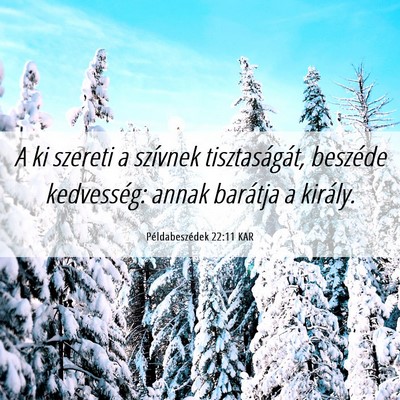 Picture 06 - Példabeszédek 22:11 KAR - A ki szereti a szívnek tisztaságát, beszéde - Bible Verse Picture