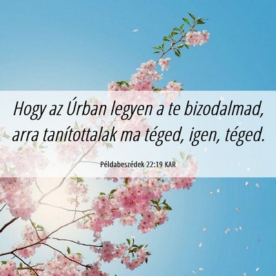 Picture 06 - Példabeszédek 22:19 KAR - Hogy az Úrban legyen a te bizodalmad, arra - Bible Verse Picture