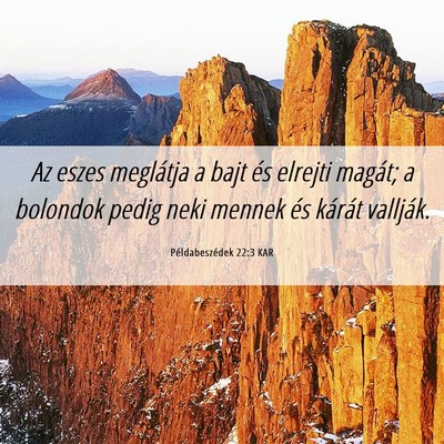 Picture 06 - Példabeszédek 22:3 KAR - Az eszes meglátja a bajt és elrejti magát; a - Bible Verse Picture