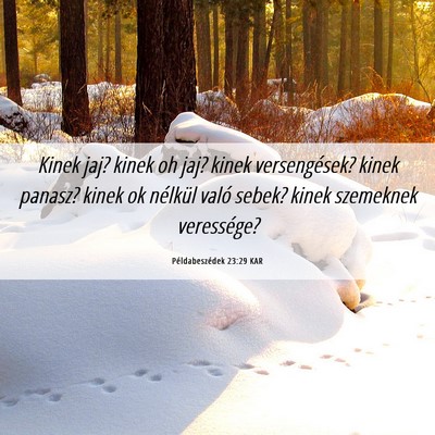 Picture 06 - Példabeszédek 23:29 KAR - Kinek jaj? kinek oh jaj? kinek versengések? - Bible Verse Picture
