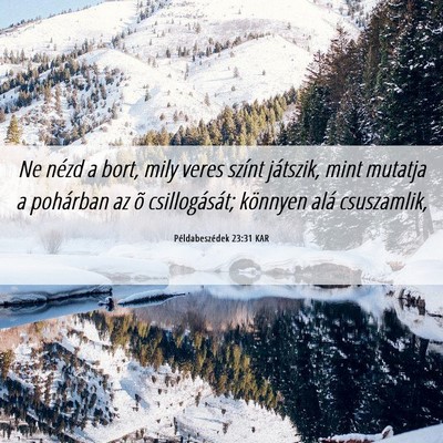 Picture 06 - Példabeszédek 23:31 KAR - Ne nézd a bort, mily veres színt játszik, mint - Bible Verse Picture