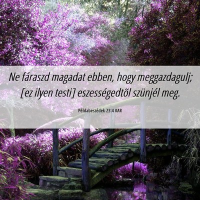 Picture 06 - Példabeszédek 23:4 KAR - Ne fáraszd magadat ebben, hogy meggazdagulj; [ez - Bible Verse Picture