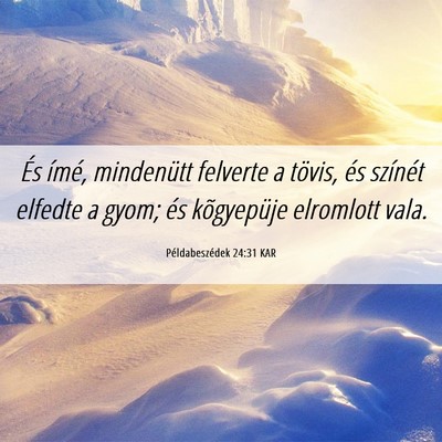 Picture 06 - Példabeszédek 24:31 KAR - És ímé, mindenütt felverte a tövis, és - Bible Verse Picture