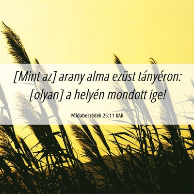 Picture 06 - Példabeszédek 25:11 KAR - [Mint az] arany alma ezüst tányéron: [olyan] a - Bible Verse Picture