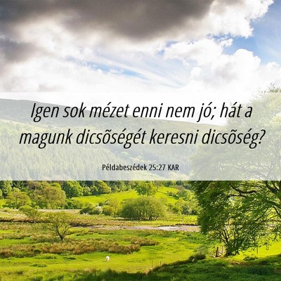 Picture 06 - Példabeszédek 25:27 KAR - Igen sok mézet enni nem jó; hát a magunk - Bible Verse Picture