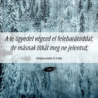 Picture 06 - Példabeszédek 25:9 KAR - A te ügyedet végezd el felebarátoddal; de - Bible Verse Picture