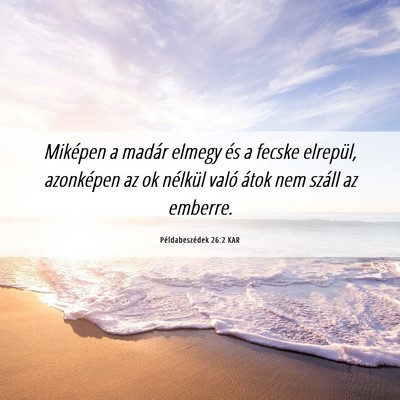 Picture 06 - Példabeszédek 26:2 KAR - Miképen a madár elmegy és a fecske elrepül, - Bible Verse Picture