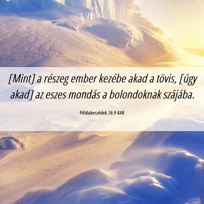 Picture 06 - Példabeszédek 26:9 KAR - [Mint] a részeg ember kezébe akad a tövis, - Bible Verse Picture
