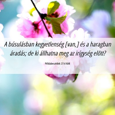 Picture 06 - Példabeszédek 27:4 KAR - A búsulásban kegyetlenség [van,] és a - Bible Verse Picture