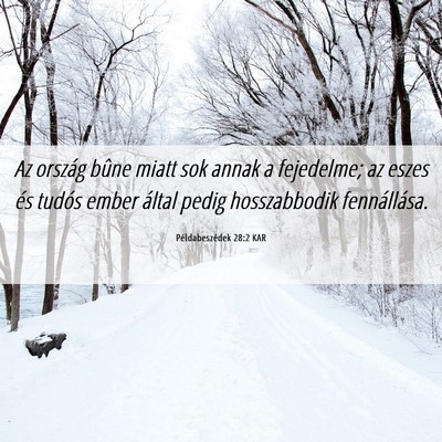 Picture 06 - Példabeszédek 28:2 KAR - Az ország bûne miatt sok annak a fejedelme; az - Bible Verse Picture