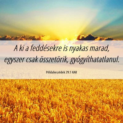 Picture 06 - Példabeszédek 29:1 KAR - A ki a feddésekre is nyakas marad, egyszer csak - Bible Verse Picture