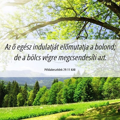 Picture 06 - Példabeszédek 29:11 KAR - Az õ egész indulatját elõmutatja a bolond; de - Bible Verse Picture