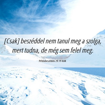 Picture 06 - Példabeszédek 29:19 KAR - [Csak] beszéddel nem tanul meg a szolga, mert - Bible Verse Picture