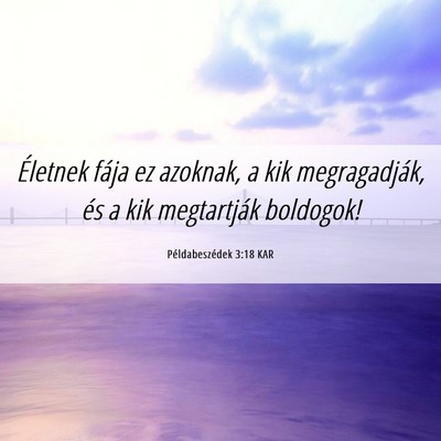 Picture 06 - Példabeszédek 3:18 KAR - Életnek fája ez azoknak, a kik megragadják, - Bible Verse Picture