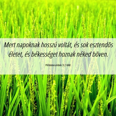 Picture 06 - Példabeszédek 3:2 KAR - Mert napoknak hosszú voltát, és sok esztendõs - Bible Verse Picture