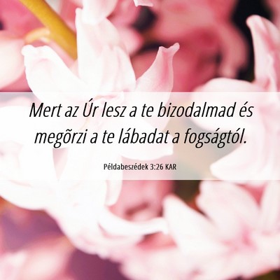 Picture 06 - Példabeszédek 3:26 KAR - Mert az Úr lesz a te bizodalmad és megõrzi a - Bible Verse Picture
