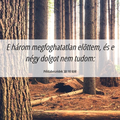 Picture 06 - Példabeszédek 30:18 KAR - E három megfoghatatlan elõttem, és e négy - Bible Verse Picture