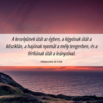 Picture 06 - Példabeszédek 30:19 KAR - A keselyûnek útát az égben, a kígyónak - Bible Verse Picture