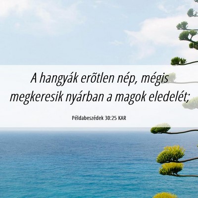 Picture 06 - Példabeszédek 30:25 KAR - A hangyák erõtlen nép, mégis megkeresik - Bible Verse Picture
