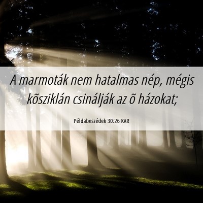Picture 06 - Példabeszédek 30:26 KAR - A marmoták nem hatalmas nép, mégis kõsziklán - Bible Verse Picture