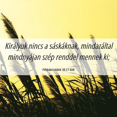Picture 06 - Példabeszédek 30:27 KAR - Királyuk nincs a sáskáknak, mindazáltal - Bible Verse Picture
