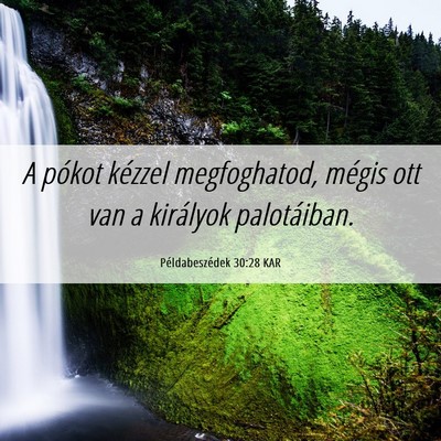 Picture 06 - Példabeszédek 30:28 KAR - A pókot kézzel megfoghatod, mégis ott van a - Bible Verse Picture