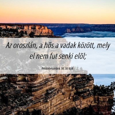 Picture 06 - Példabeszédek 30:30 KAR - Az oroszlán, a hõs a vadak között, mely el - Bible Verse Picture