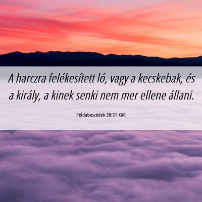 Picture 06 - Példabeszédek 30:31 KAR - A harczra felékesített ló, vagy a kecskebak, - Bible Verse Picture