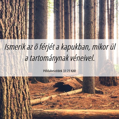 Picture 06 - Példabeszédek 31:23 KAR - Ismerik az õ férjét a kapukban, mikor ül a - Bible Verse Picture