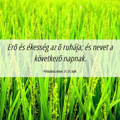 Picture 06 - Példabeszédek 31:25 KAR - Erõ és ékesség az õ ruhája; és nevet a - Bible Verse Picture