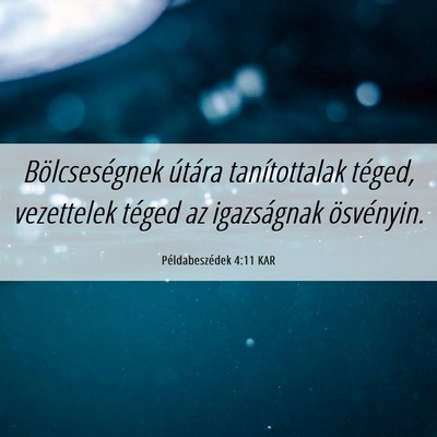 Picture 06 - Példabeszédek 4:11 KAR - Bölcseségnek útára tanítottalak téged, - Bible Verse Picture