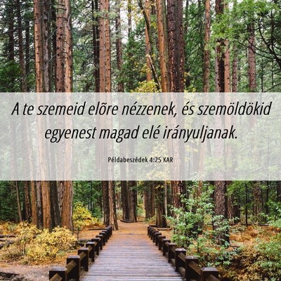 Picture 06 - Példabeszédek 4:25 KAR - A te szemeid elõre nézzenek, és szemöldökid - Bible Verse Picture