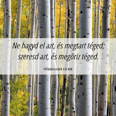 Picture 06 - Példabeszédek 4:6 KAR - Ne hagyd el azt, és megtart téged; szeresd azt, - Bible Verse Picture