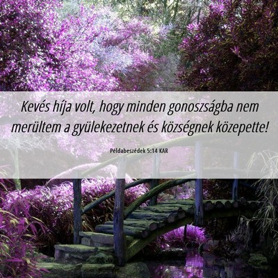 Picture 06 - Példabeszédek 5:14 KAR - Kevés híja volt, hogy minden gonoszságba nem - Bible Verse Picture