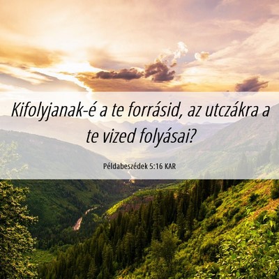 Picture 06 - Példabeszédek 5:16 KAR - Kifolyjanak-é a te forrásid, az utczákra a te - Bible Verse Picture