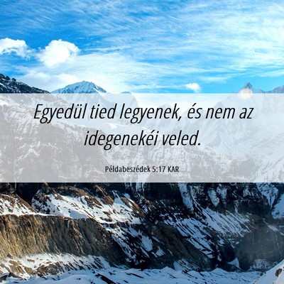 Picture 06 - Példabeszédek 5:17 KAR - Egyedül tied legyenek, és nem az idegenekéi - Bible Verse Picture